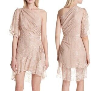 A.L.C. Misha nude lace whimsy fairycore one shoulder asymmetrical dress size 2